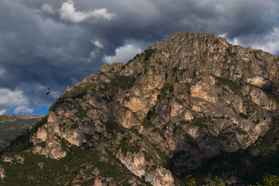 Imagen 37 de la galería de Picos de Europa